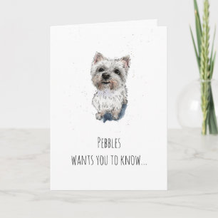 Cartão Westie Terrier da montanha ocidental simples Dia d