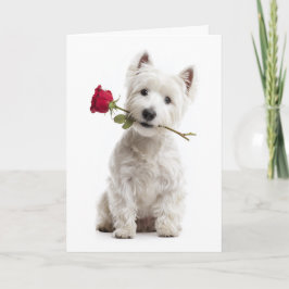 Cartão Westie Valentine – Amor e Devoção Radiantes