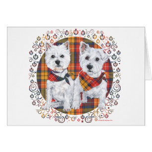 Cartão Westies em Tartan