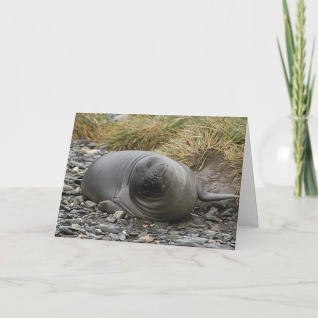 Cartão Whassup? (Frente)