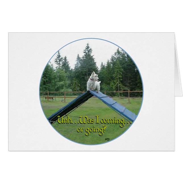 Cartão Whaten Scottie Agilidade (Frente Horizontal)