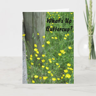 Cartão What's Up Buttercup-Been Missin You" Miss You Card