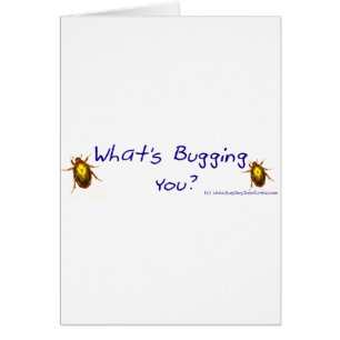 Cartão WhatsBuggingYouBumperSticker