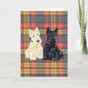 Cartão Wheaten and Black Scottish Terriers