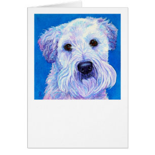 Cartão Wheaten de "Bailey" - Terrier