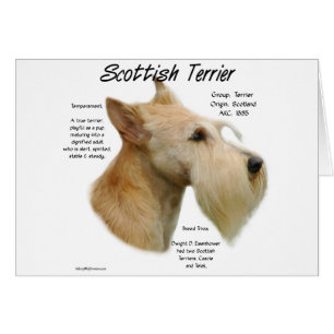 Cartão Wheaten Scottie History