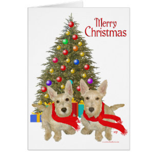 Cartão Wheaten Scottish Terrier Natal