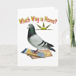 Cartão Which Way is Home? Pigeon Art