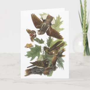Cartão Whip-poor-will, John Audubon