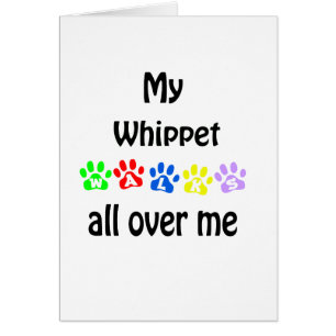 Cartão Whippet Walks Design