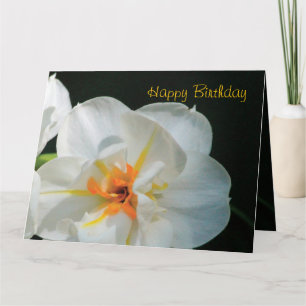 Cartão White And Black Happy Birthday Card
