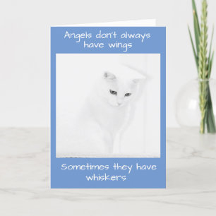 Cartão White Angel Cat Oferece simpatia