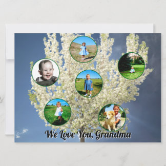 Cartão White Blossoming Tree Six Photos Love You Grandma 