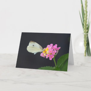 Cartão White Butterfly on Lantana - card