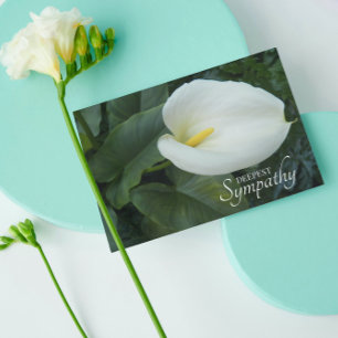 Cartão White Calla Lily Floral Simpatia