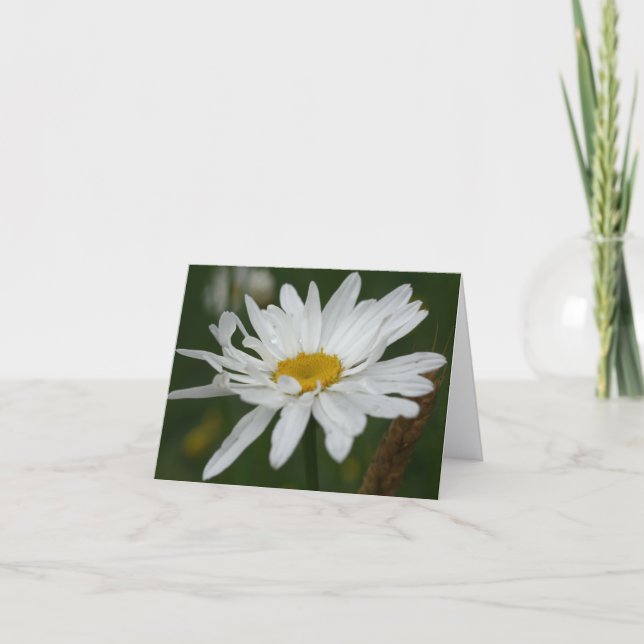 Cartão White Daisy Flower Photography Note (Frente)