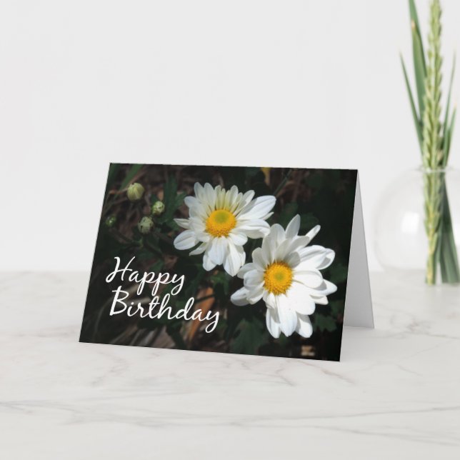 Cartão White Daisy Happy Birthday Scripting Card (Frente)