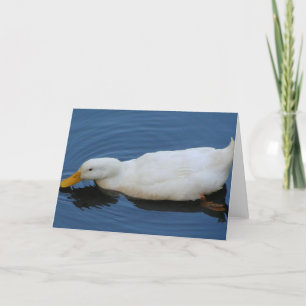 Cartão White Duck