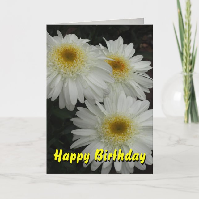 Cartão White Gerber Daisy Happy Birthday (Frente)