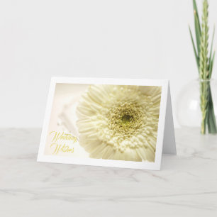 Cartão White Gerbera Daisy Greeting Card