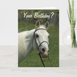 Cartão White Horse Birthday Card