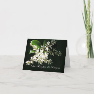 Cartão White Japanese Privet Thoughts & Prayers Sympathy