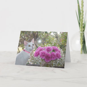 Cartão White Kitten and Pink Carnations Card