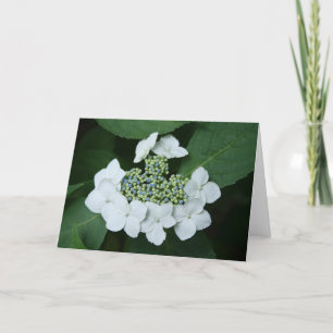 Cartão White Lace Greeting Card