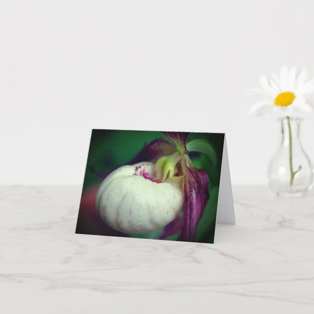 Cartão White Lady Slipper Orchid Flower Photography Note (Planta pequena)