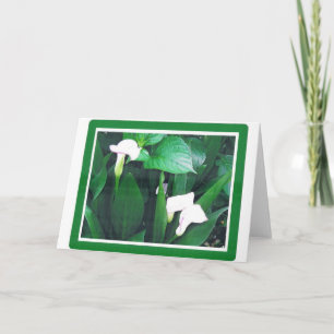 CARTÃO WHITE LILLIES