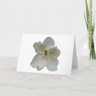 Cartão White Magnolia flower on blank note card