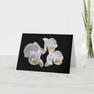 Cartão White Orchids on Black - Elegant Card
