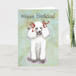 Cartão White Poodle Birthday Card