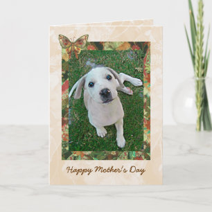 Cartão White Puppy Mothers Day Card   Photo Template