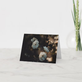 Cartão White roses in moody light, Sympathy