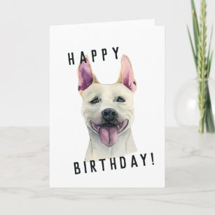 Cartão White Staffordshire Bull Terrier Dog   Aniversário