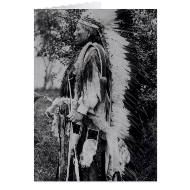 Cartão White Wolf, Chefe Comanche, c.1891-98 (Frente)