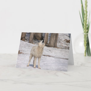 Cartão White Wolf Howling Blank Notecard