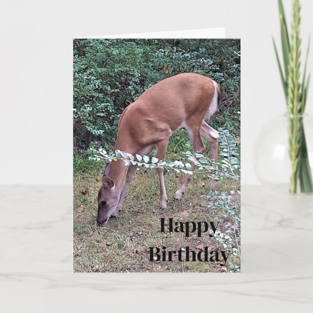 Cartão Whitetail Deer Grazing em Dusk Happy Birthday (Frente)