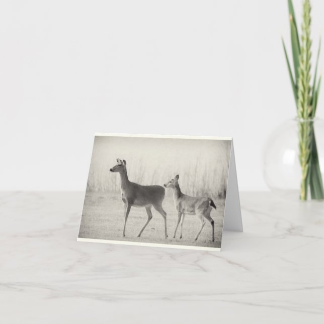 Cartão Whitetails (Frente)