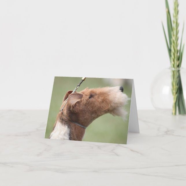 Cartão Whitman Notecard (Frente)