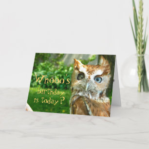 Cartão Whooo's Birthday Card