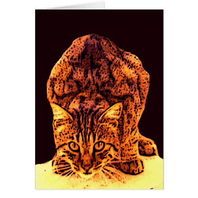 CARTÃO WILD CAT KITTEN (Frente)