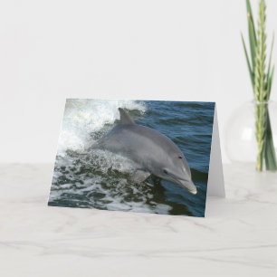 Cartão Wild Dolphin Greeting Card