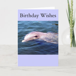 Cartão Wild Dophin