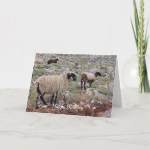 Cartão Wild Goats Birthday Greeting