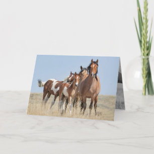 Cartão Wild Horse Family Leans Wild Horse Greeting Card