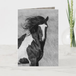 Cartão Wild Horse Greeting Card - Washakie on Fire