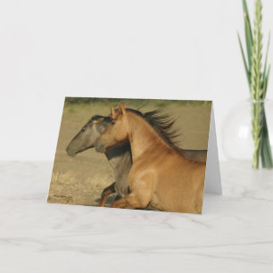 Cartão Wild Horses Returning to Freedom