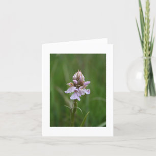 Cartão Wild Orchid Notecard